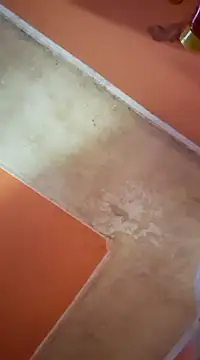 ducicsajsziii online show from March 16, 2025, 7:26 am