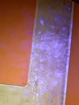 ducicsajsziii online show from March 7, 2025, 8:33 pm