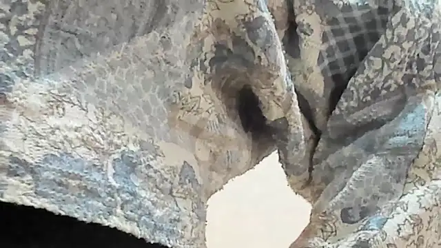 Snapshot of BRENDA_SEXY69 chatting on March 7, 2026, 5:07 pm BRENDA SEXY69 online show from March 7, 2026, 5:07 pm