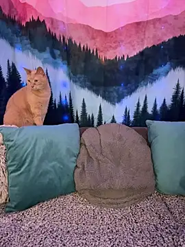 ItsDanniG online show from March 10, 2026, 9:08 pm