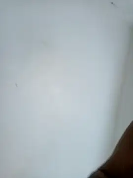 Snapshot of casal7722 chatting on February 10, 2026, 3:00 pm casal7722 online show from February 10, 2026, 3:00 pm