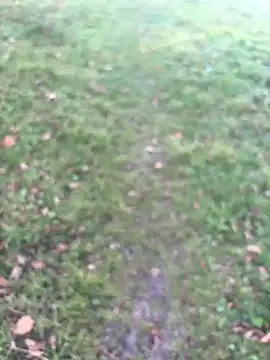 Snapshot of Aronn4 chatting on October 22, 2025, 6:13 am Aronn4 online show from October 22, 2025, 6:13 am