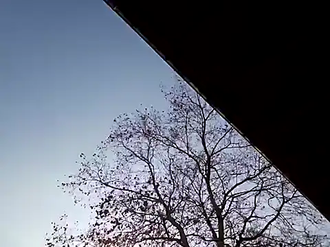 Snapshot of Mia_Railey chatting on March 7, 2025, 3:49 pm Mia Railey online show from March 7, 2025, 3:49 pm