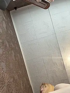 Snapshot of AmmyHot chatting on November 5, 2025, 4:04 am AmmyHot online show from November 5, 2025, 4:04 am