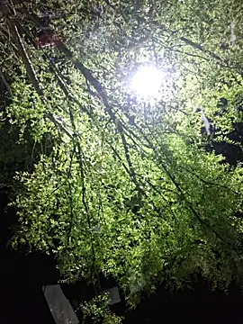 Snapshot of Hotbodyscottie chatting on March 22, 2026, 9:11 am Hotbodyscottie online show from March 22, 2026, 9:11 am