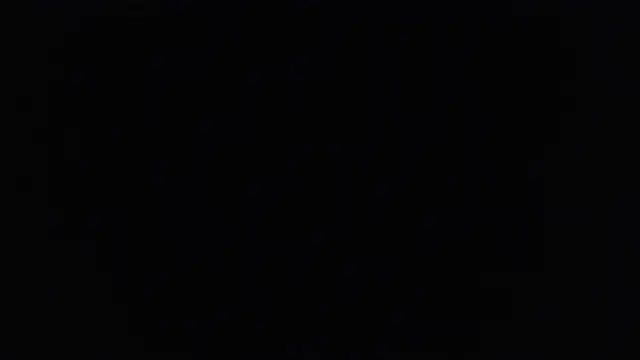 VixenCapri online show from February 23, 2026, 2:46 am