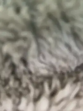 Snapshot of Hannagarces chatting on February 26, 2026, 11:21 am Hannagarces online show from February 26, 2026, 11:21 am