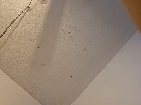 Snapshot of anyway2cum chatting on January 19, 2025, 2:59 pm anyway2cum online show from January 19, 2025, 2:59 pm