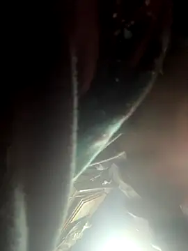 Snapshot of Followthepiper chatting on November 2, 2025, 9:25 am Followthepiper online show from November 2, 2025, 9:25 am