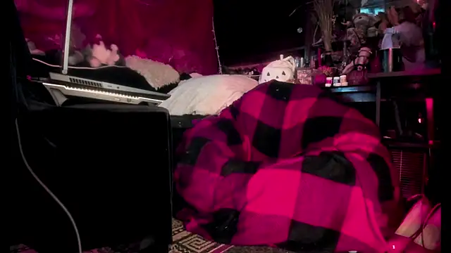 Snapshot of astarrot chatting on November 6, 2025, 7:51 pm astarrot online show from November 6, 2025, 7:51 pm