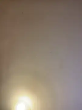 Snapshot of asianmama888 chatting on February 24, 2026, 12:44 am asianmama888 online show from February 24, 2026, 12:44 am