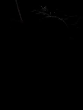 donkeyCOCC online show from October 4, 2025, 4:14 am