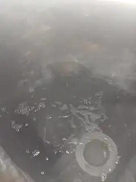 Snapshot of bella8769 chatting on February 21, 2026, 6:26 am bella8769 online show from February 21, 2026, 6:26 am