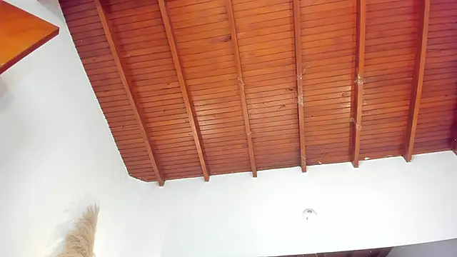 Snapshot of sofhiaa_adaams chatting on November 15, 2025, 8:57 pm sofhiaa adaams online show from November 15, 2025, 8:57 pm