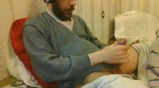 tozebrito hd online show from December 27, 2024, 12:50 am