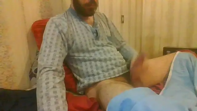 tozebrito hd online show from October 30, 2025, 4:33 am