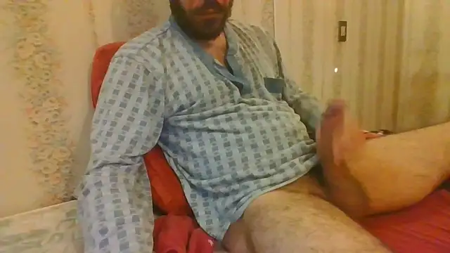 tozebrito hd online show from October 29, 2025, 7:51 am