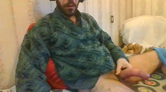 tozebrito hd online show from February 18, 2025, 8:16 am