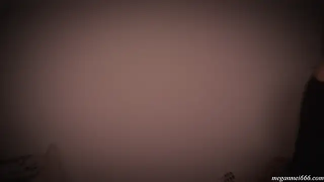 Snapshot of meganmei666 chatting on November 26, 2025, 3:06 am meganmei666 online show from November 26, 2025, 3:06 am