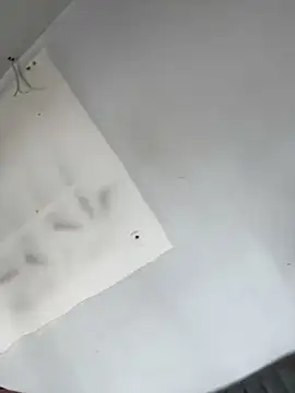 Snapshot of AnaRuiz chatting on November 22, 2025, 3:22 pm AnaRuiz online show from November 22, 2025, 3:22 pm