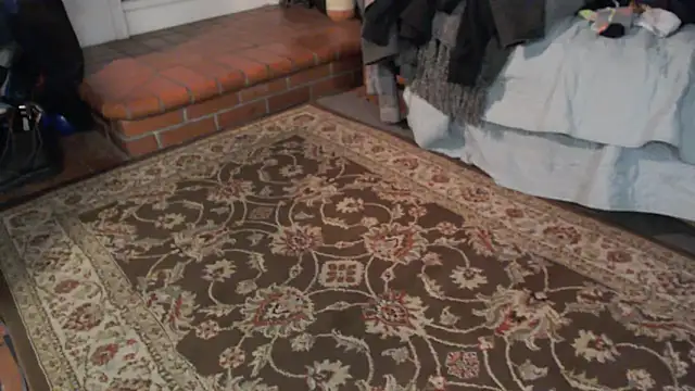 Snapshot of Dark_Asteroid chatting on March 5, 2026, 12:24 pm Dark Asteroid online show from March 5, 2026, 12:24 pm