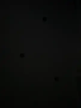 Maxthekid online show from January 21, 2025, 10:19 pm