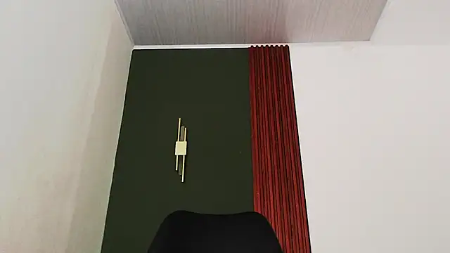 Snapshot of jean_sneider chatting on March 16, 2026, 1:13 am jean sneider online show from March 16, 2026, 1:13 am