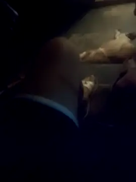 dredre1069 online show from February 23, 2026, 2:46 am