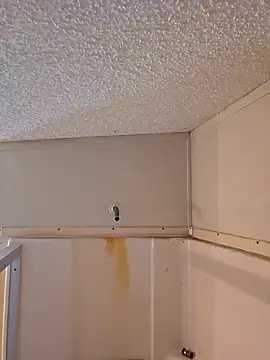 Snapshot of Dixiefaye_Pika chatting on February 18, 2025, 6:15 pm Dixiefaye Pika online show from February 18, 2025, 6:15 pm