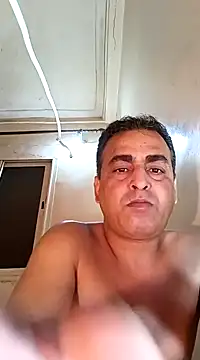 Snapshot of trans511 chatting on January 14, 2025, 2:08 am trans511 online show from January 14, 2025, 2:08 am