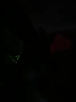 Snapshot of Brunettexio chatting on March 13, 2025, 12:16 am Brunettexio online show from March 13, 2025, 12:16 am