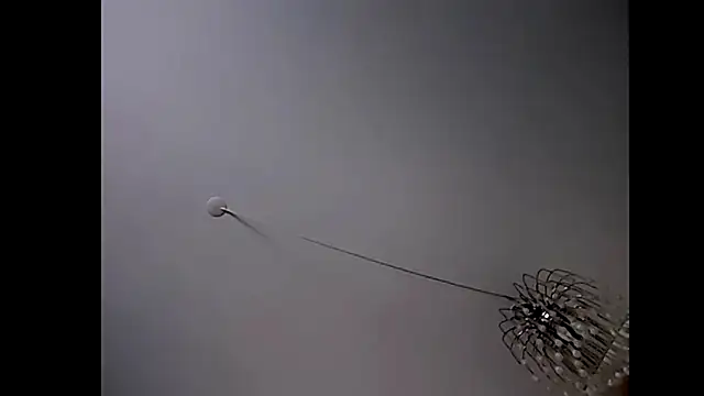 Snapshot of Pegg-fist-me chatting on October 29, 2025, 1:48 am Pegg-fist-me online show from October 29, 2025, 1:48 am