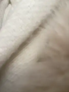 NewLale online show from February 13, 2025, 6:20 am