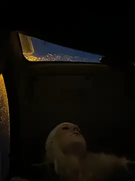 MerlinDave online show from November 8, 2025, 12:58 am