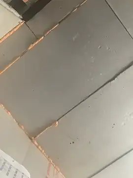 Boysex227 online show from February 7, 2026, 8:11 am