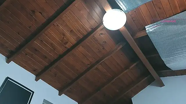 Snapshot of SilvaBranko chatting on March 14, 2026, 12:05 am SilvaBranko online show from March 14, 2026, 12:05 am