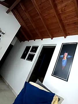 Snapshot of SilvaBranko chatting on March 8, 2026, 2:04 am SilvaBranko online show from March 8, 2026, 2:04 am