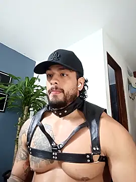 SilvaBranko online show from December 17, 2025, 12:48 am