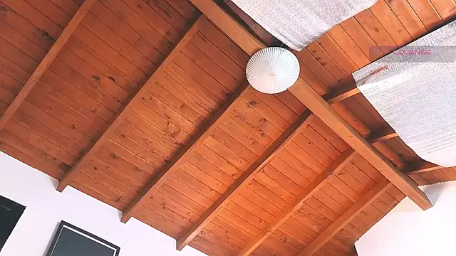 Snapshot of SilvaBranko chatting on March 14, 2026, 8:04 pm SilvaBranko online show from March 14, 2026, 8:04 pm