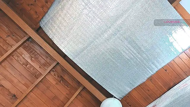 Snapshot of SilvaBranko chatting on March 16, 2026, 12:07 am SilvaBranko online show from March 16, 2026, 12:07 am