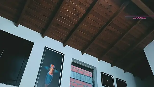 Snapshot of SilvaBranko chatting on March 16, 2026, 11:07 pm SilvaBranko online show from March 16, 2026, 11:07 pm