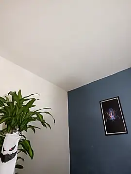 Snapshot of SilvaBranko chatting on November 4, 2025, 10:02 pm SilvaBranko online show from November 4, 2025, 10:02 pm