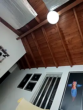 Snapshot of SilvaBranko chatting on March 7, 2026, 9:20 pm SilvaBranko online show from March 7, 2026, 9:20 pm