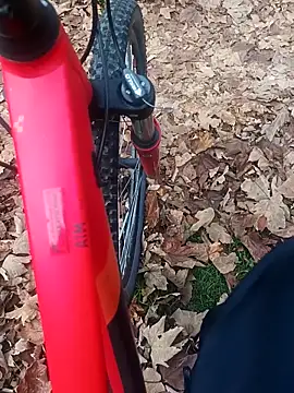 Snapshot of maleesa chatting on November 2, 2025, 6:29 am maleesa online show from November 2, 2025, 6:29 am