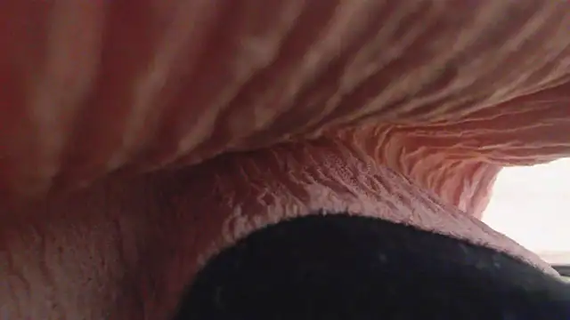 yooooo-chandesu online show from February 13, 2025, 12:32 pm