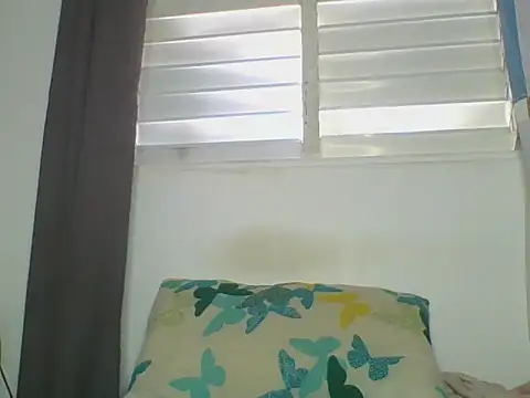 Snapshot of the_geisha_2021k chatting on July 2, 2026, 1:17 pm the geisha 2021k online show from July 2, 2026, 1:17 pm