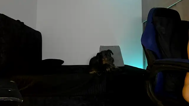 Snapshot of male_pussy chatting on October 9, 2025, 5:08 am male pussy online show from October 9, 2025, 5:08 am