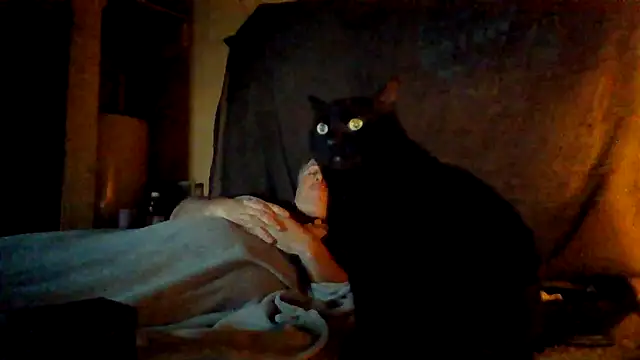 Snapshot of Nightshade7712 chatting on November 6, 2025, 9:41 pm Nightshade7712 online show from November 6, 2025, 9:41 pm