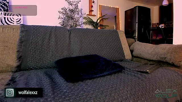 Snapshot of alex_wolf_ chatting on February 8, 2025, 2:04 am alex wolf  online show from February 8, 2025, 2:04 am