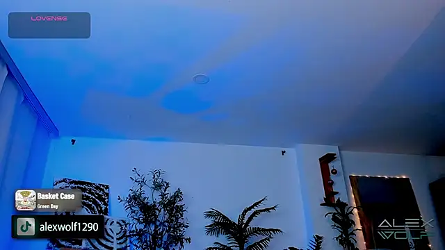 Snapshot of alex_wolf_ chatting on January 17, 2025, 5:21 am alex wolf  online show from January 17, 2025, 5:21 am